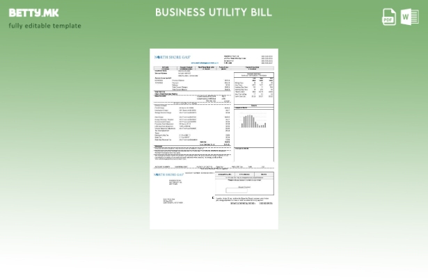 Сметката за комунални услуги за деловна активност за гас во САД Илиноис Норт Шор